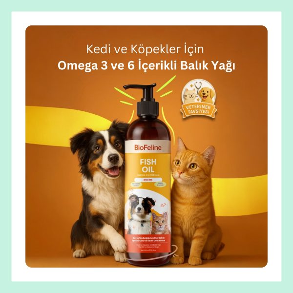 Kedi ve Köpekler Için Omega 3 ve 6 icerikli Balik Yagi