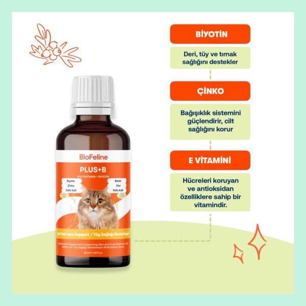 Biofline.zip 2 scaled