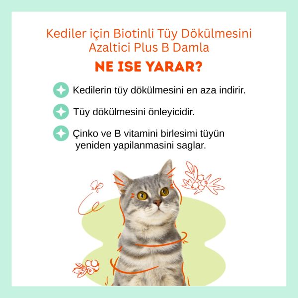 Biofline.zip 3 scaled