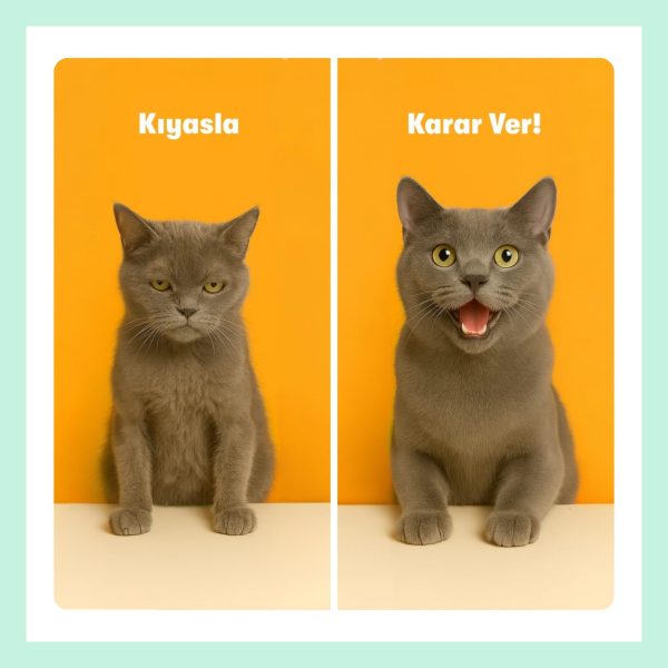 Biofline.zip 6 scaled