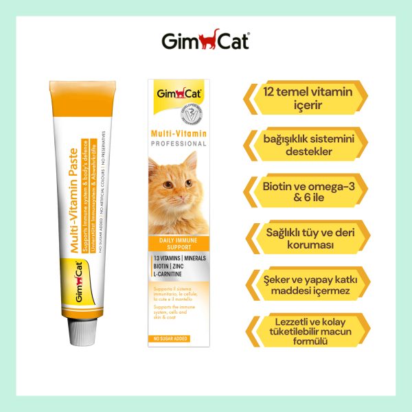 Gimcat Multi vitamin pasta Kedi macunu 20 gr