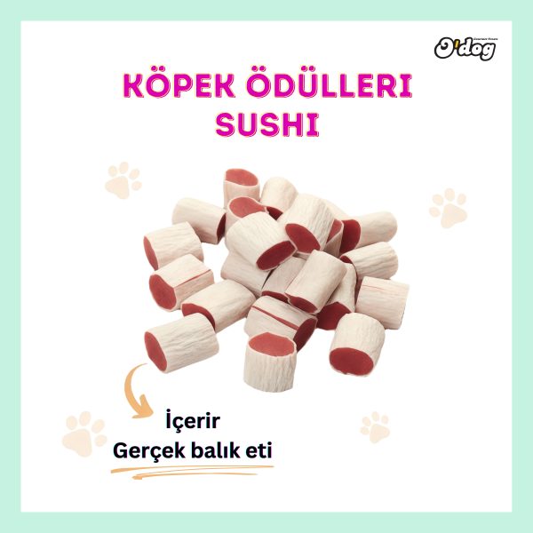 O Dog Gerçek Tavşan Etiyle Sağlıklı, Doğal Ve Lezzetli Köpek Ödülü (100 GR)