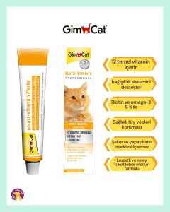 Gimcat Multi vitamin pasta Kedi macunu 20 gr