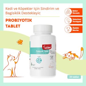 Kedi ve Köpekler İçin Probiyotik Tablet – Sindirim ve Bağışıklık Sistemini Destekleyen Takviye