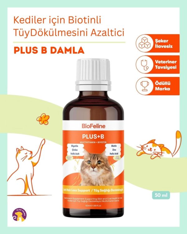 Biofeline Plus ve B Biotin kedi Damlasi