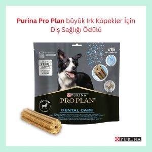 Pro Plan Büyük Irk Köpekler İçin Plak ve Tartar Karşıtı Ağız Bakım Ürünü