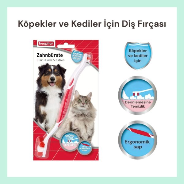 Beaphar Çift Taraflı Köpek Diş Fırçası – Hassas ve Etkili Ağız Bakımı