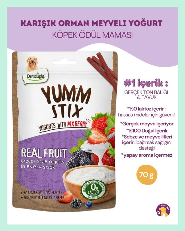 Dentalight Yumm Köpek Ödül