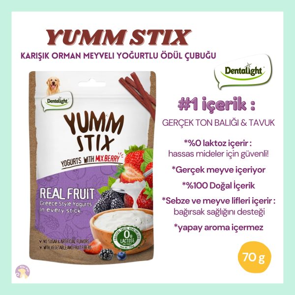 Dentalight Yumm Köpek Ödül