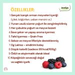 Dentalight Yumm Stix Yoğurtlu Yumuşak Köpek Ödül Maması – Karışık Orman Meyveli & Ton Balıklı (70g)