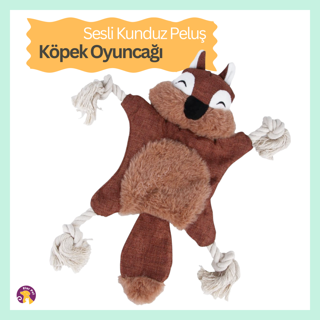 Nunbell Sesli Tilki İpli Köpek ve kedi Oyuncağı