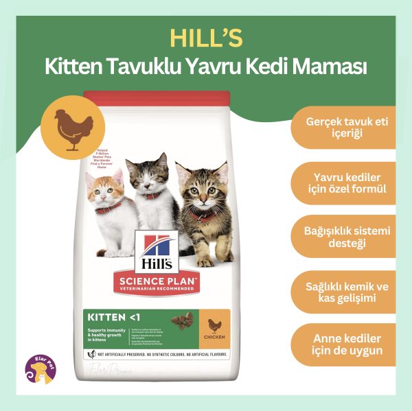 Hills Kitten Tavuklu Yavru Kedi Maması