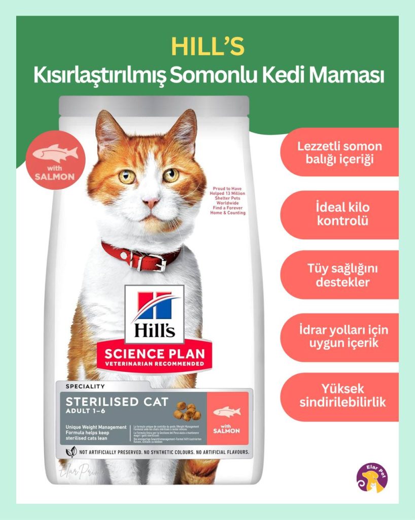 Hill’s Kısırlaştırılmış Somonlu Yetişkin Kedi Maması 1/5kg Hill’s SCIENCE PLAN Kısırlaştırılmış Somonlu Yetişkin Kedi Maması 1/5 kg