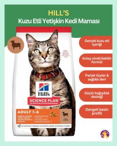 Hills Adult Kuzulu Yetişkin Kedi Maması