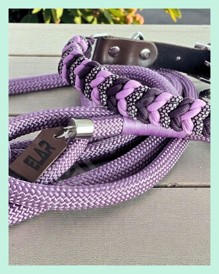 El Yapımı Paracord ve Deri Köpek Boyun Tasması ve Kayışı Seti –GPKT 03