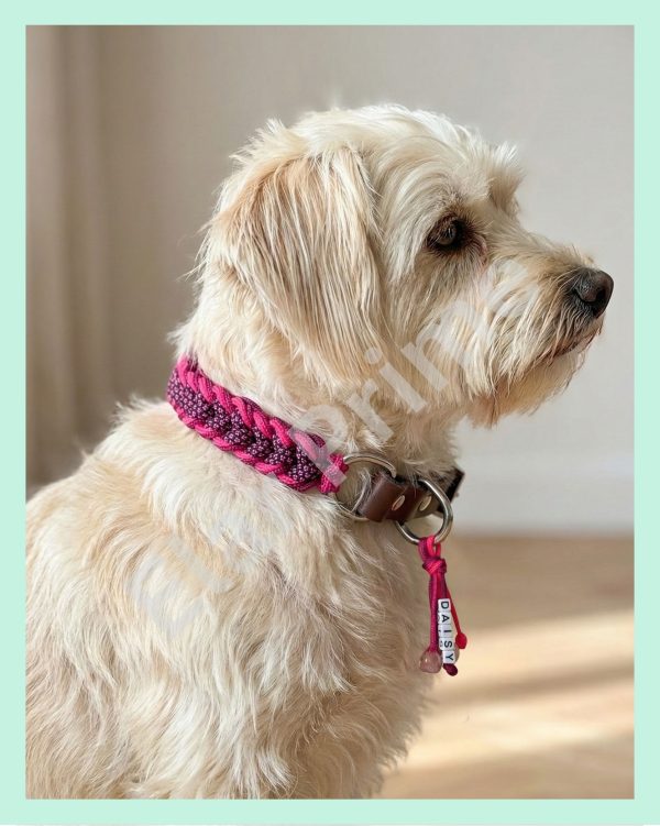 El Yapımı Gerçek Deri ve Paracord Köpek Boyun Tasması