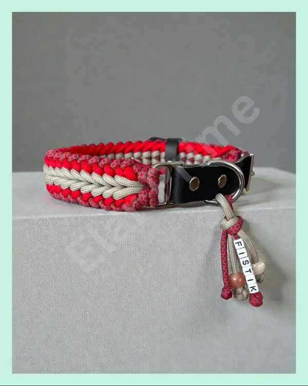 El Yapımı Paracord ve Deri Köpek Boyun Tasması