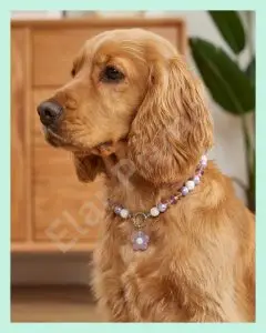 El Yapımı Lila Boncuklu Köpek Tasması