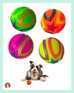 Lion Pets Renkli Dikenli Köpek Oyun Topu 6 cm