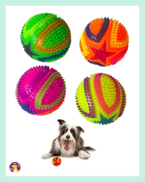 Lion Pets Renkli Dikenli Köpek Oyun Topu 6 cm