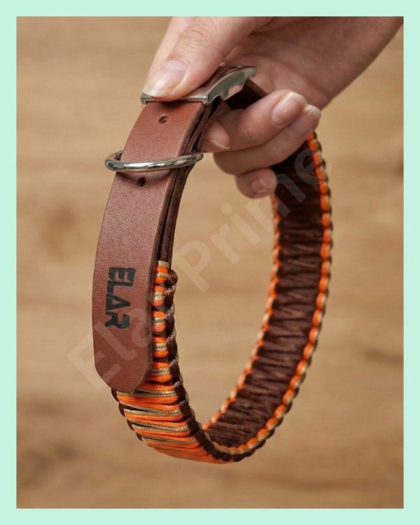 El Yapımı Deri ve Paracord Köpek Boyun Tasması – Örgü Urban 01