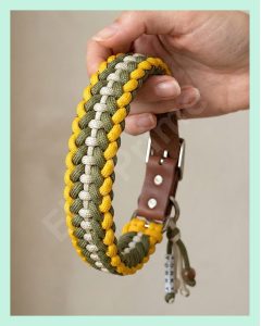 El Yapımı Deri ve Paracord Köpek Boyun Tasması El Yapımı Gerçek Deri ve Paracord Köpek Boyun Tasması