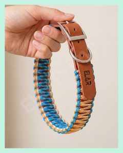 El Yapımı Paracord ve Deri Köpek Boyun Tasması – Örgü Urban 02