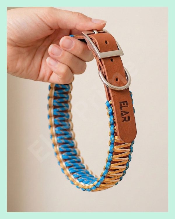 El Yapımı Paracord ve Deri Köpek Boyun Tasması – Örgü Urban 02