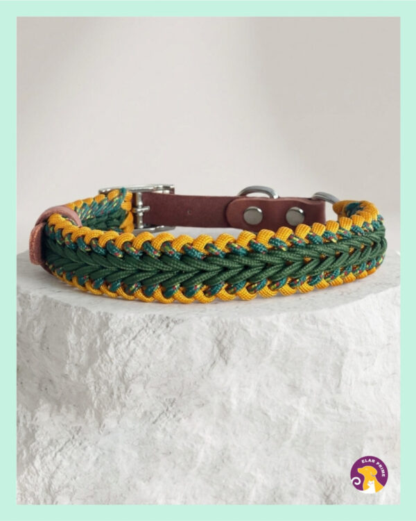 IMG 7691