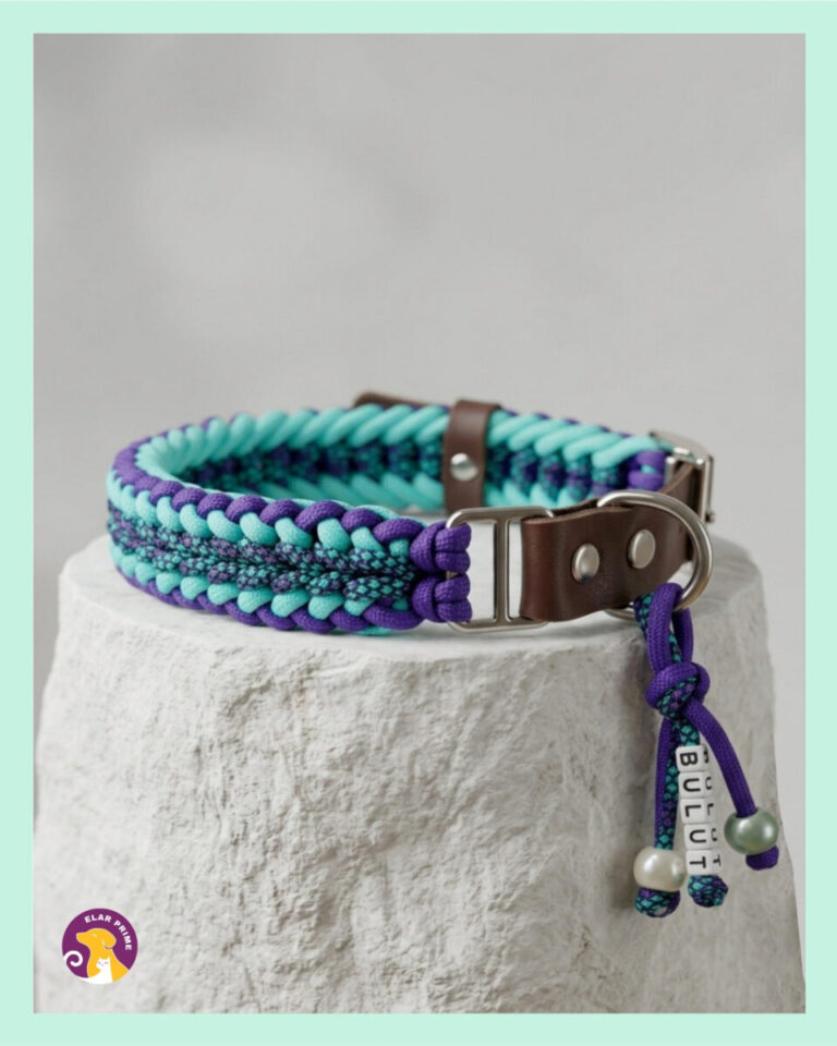 El Yapımı Deri ve Paracord Köpek Boyun Tasması – PKT 08