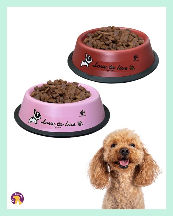 IMG_3116 Desenli Metal Köpek & Kedi Mama Kabı – Renkli Mama Kabı (16 cm)