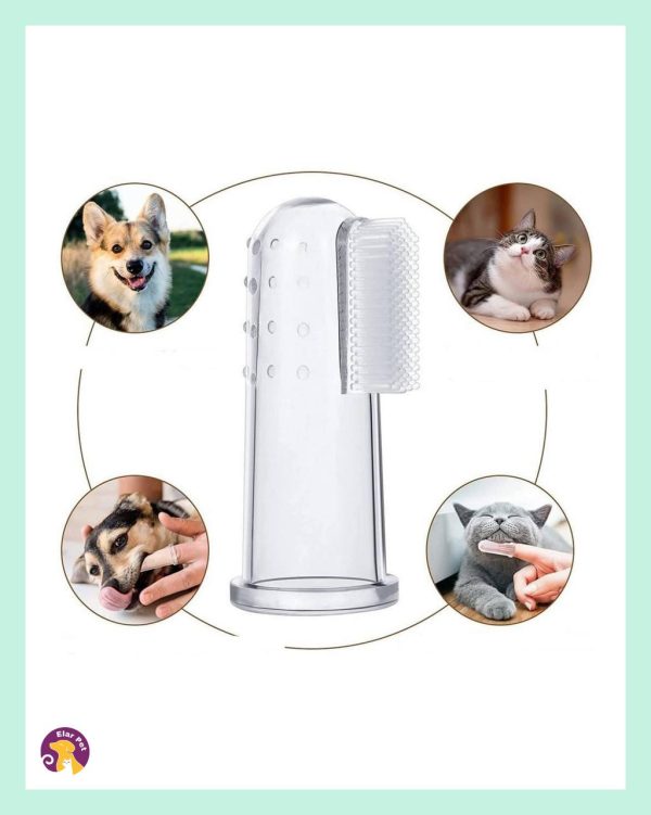 Silikon Parmak Diş Fırçası – Kedi ve Köpekler İçin Yeni Nesil Ağız Bakım Ürünü