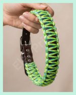 El Yapımı Paracord ve Deri Köpek Boyun Tasması – Örgü Urban 03