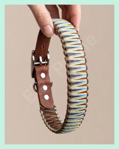 El Yapımı Paracord & Deri Köpek Boyun Tasması – Örgü Urban 07