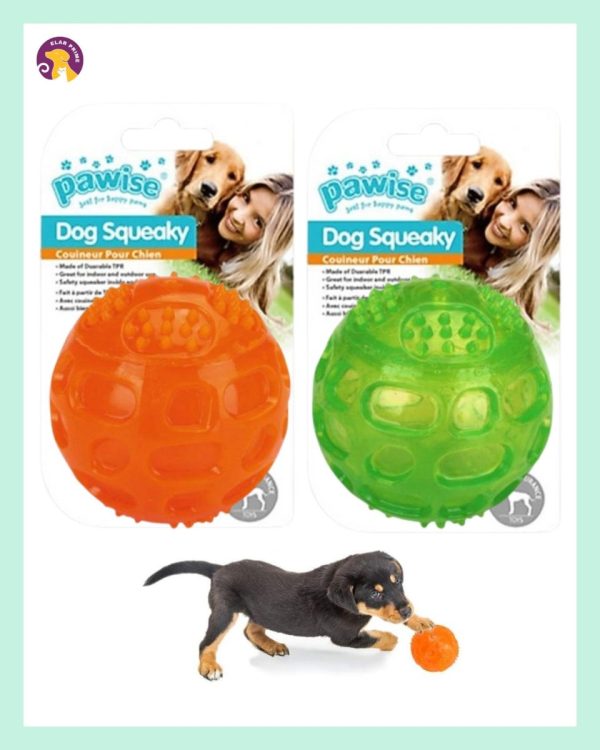 IMG_3465 Pawise Sesli Top Köpek Oyuncağı 6,5 cm (Karışık Renkli)