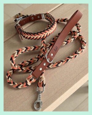 El Yapımı Paracord ve Deri Köpek Boyun Tasması ve Kayışı Seti—Örgü Strong 006