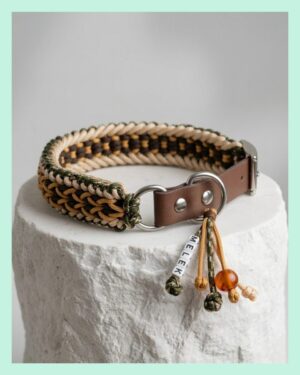 El Yapımı Paracord ve Deri Köpek Boyun Tasması – Örgü Strong 13