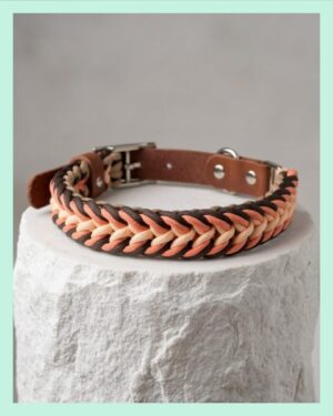 El Yapımı Paracord ve Deri Köpek Boyun Tasması – Örgü Strong 06