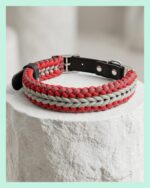 el yapimi Deri ve Paracord Köpek Boyun Tasması – Örgü strong 01