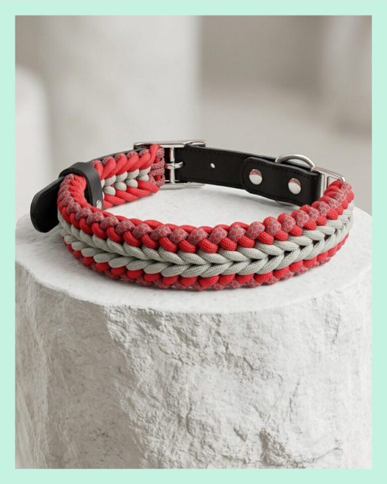 el yapimi Deri ve Paracord Köpek Boyun Tasması – Örgü strong 01