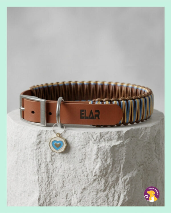 IMG 7687