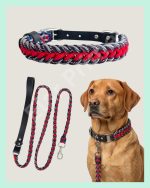 El Yapımı Deri ve Paraco Köpek Boyun Tasması & Gezdirme Tasması Seti – Örgü Strong 005