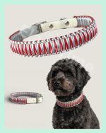 El Yapımı Paracord & Deri Köpek Boyun Tasması – Örgü Urban 10