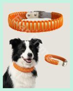 El Yapımı Paracord & Deri Köpek Boyun Tasması – Örgü Urban 11