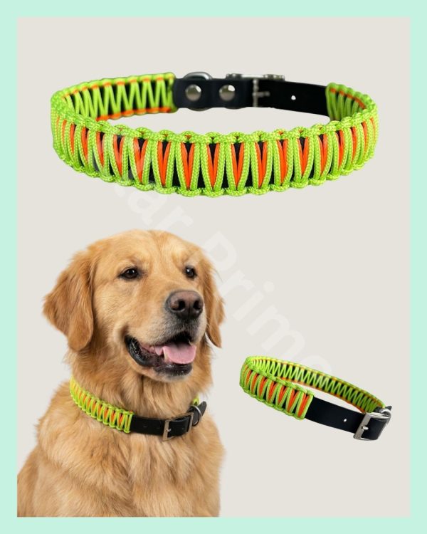 El Yapımı Paracord & Deri Köpek Boyun Tasması – Örgü Urban 09