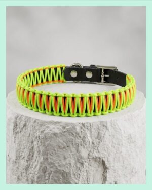 El Yapımı Paracord & Deri Köpek Boyun Tasması – Örgü Urban 09