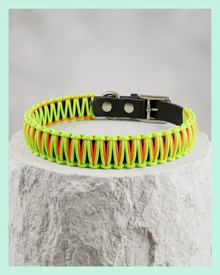 El Yapımı Paracord & Deri Köpek Boyun Tasması – Örgü Urban 09