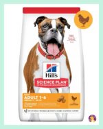 Hill’s Light Tavuklu Medium Yetişkin Köpek Maması 2.5 Kg