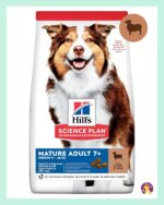 Yaşlı Köpek Maması