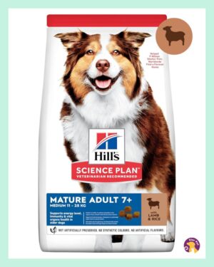 Yaşlı Köpek Maması